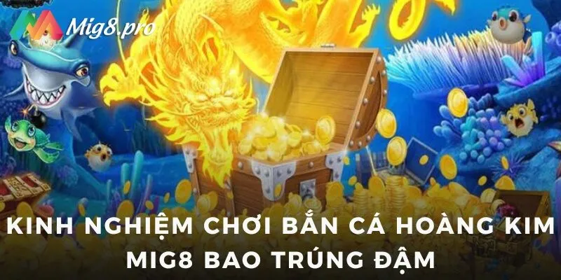 Kinh nghiệm chơi bắn cá Hoàng Kim Mig8 bao trúng đậm