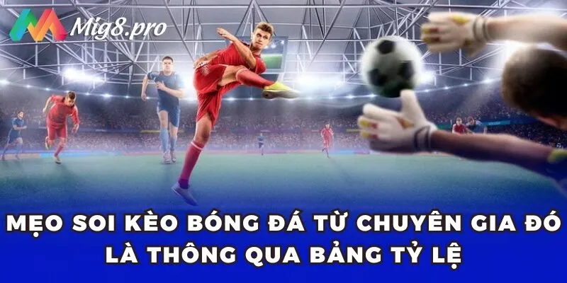 Mẹo soi kèo bóng đá từ chuyên gia đó là thông qua bảng tỷ lệ