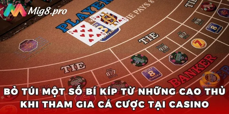 Bỏ túi một số bí kíp từ những cao thủ khi tham gia cá cược tại casino