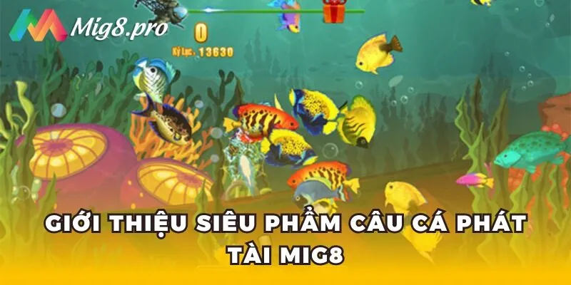 Giới thiệu siêu phẩm Câu cá phát tài Mig8