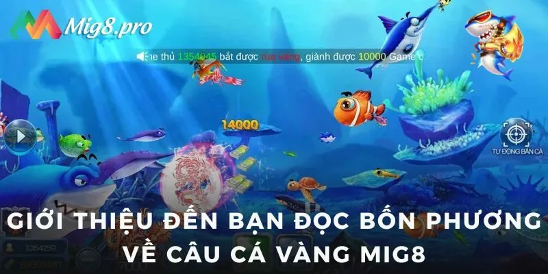Giới thiệu đến bạn đọc  bốn phương về câu Cá Vàng Mig8