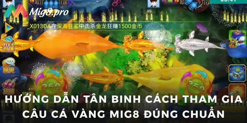 Hướng dẫn tân binh cách tham gia câu Cá Vàng Mig8 đúng chuẩn
