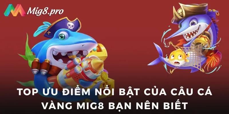 Top ưu điểm nổi bật của câu Cá Vàng Mig8 bạn nên biết