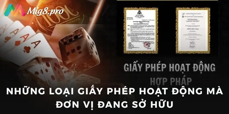 Những loại giấy phép hoạt động mà đơn vị đang sở hữu