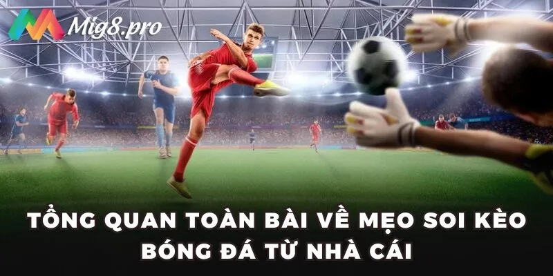 Tổng quan toàn bài về mẹo soi kèo bóng đá từ nhà cái