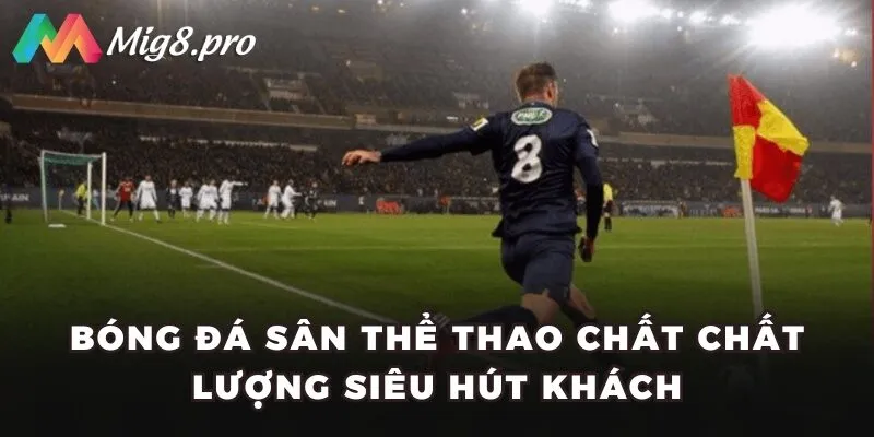 Bóng đá sân thể thao chất chất lượng siêu hút khách